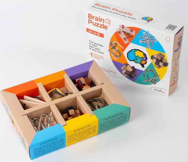 Recent Toys RECENT TOYS Brainteaser Brain puzzle set