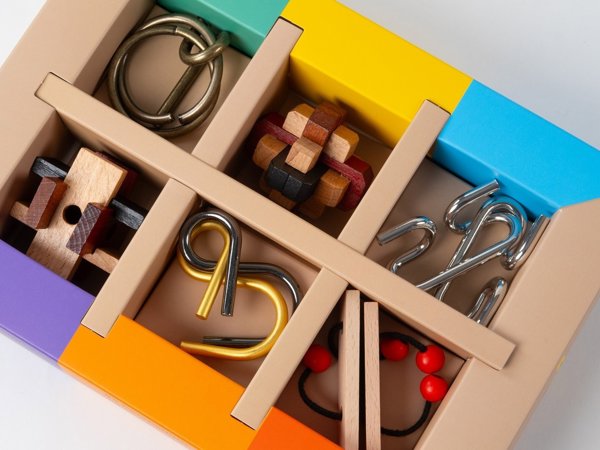 Recent Toys RECENT TOYS Brainteaser Brain puzzle set