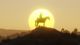 Red Dead Redemption 2 PS4