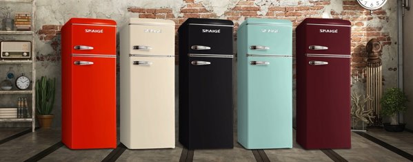 Ψυγείο με καταψύκτη SNAIGE FR24SM-PRJ30E, 148 cm