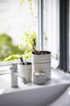 Riess RIESS - Κουζίνα δοχείο με ξύλινο καπάκι 2,2l Light Grey