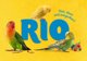 Rio Rio Τροφή για μεγάλους παπαγάλους 1kg