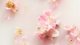 Rituals Rituals The Ritual of Sakura Life Is A Journey Car Perfume oro gaiviklis automobiliui, 2 x 3 g