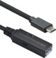 Roline ROLINE Καλώδιο USB 3.2 Gen 1 Active Repeater, τύπου A - C, μαύρο, 10 m