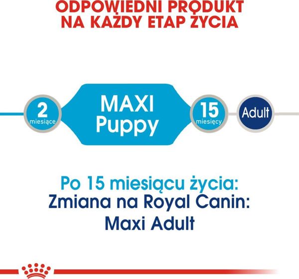 Royal Canin Karma Shn Maxi puppy w sosie 10x140 g