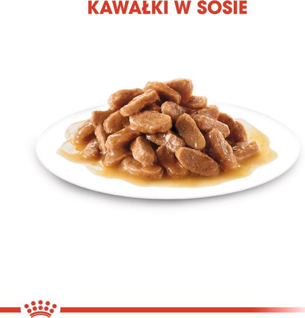 Royal Canin Karma Shn Maxi puppy w sosie 10x140 g