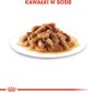 Royal Canin Karma Shn Maxi puppy w sosie 10x140 g