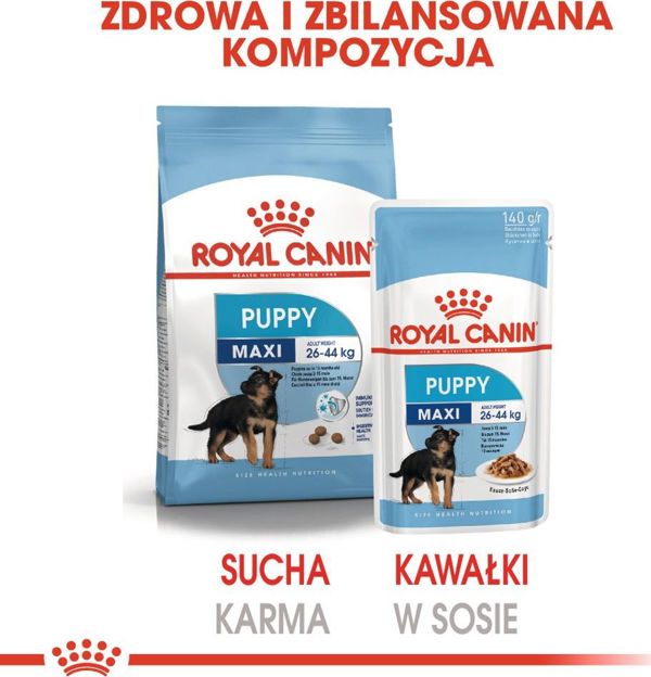 Royal Canin Karma Shn Maxi puppy w sosie 10x140 g