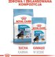 Royal Canin Karma Shn Maxi puppy w sosie 10x140 g