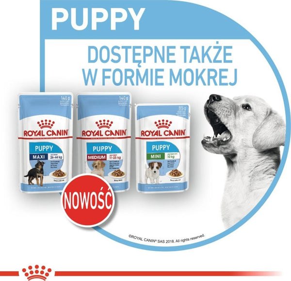 Royal Canin Karma Shn Maxi puppy w sosie 10x140 g