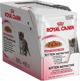 Royal Canin ΠΑΚΕΤΟ ζελέ 12x85g KITTEN