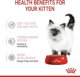 Royal Canin Γατάκι ζελέ 85g