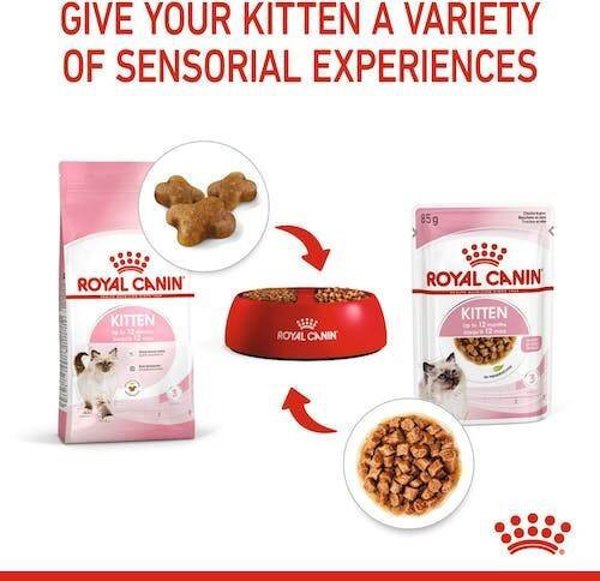 Royal Canin Γατάκι ζελέ 85g