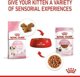 Royal Canin Γατάκι ζελέ 85g
