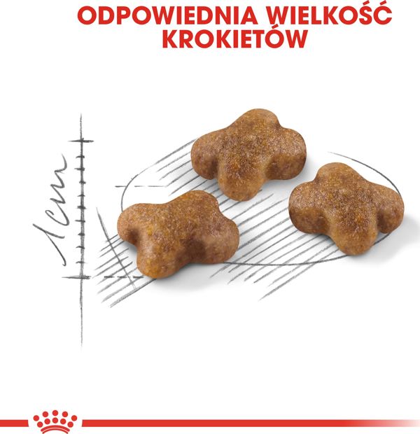 Royal Canin Kitten ξηρά τροφή για γατάκια από 4 έως 12 μηνών 4kg