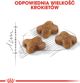 Royal Canin Kitten ξηρά τροφή για γατάκια από 4 έως 12 μηνών 4kg