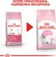 Royal Canin Kitten ξηρά τροφή για γατάκια από 4 έως 12 μηνών 4kg