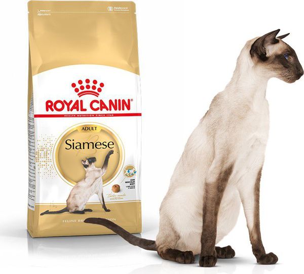 Royal Canin Siamese Adult ξηρή τροφή για ενήλικες γάτες ράτσας Σιαμέζα 2 κιλά