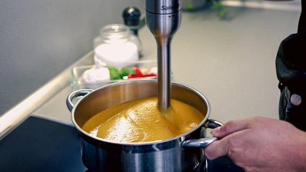 SALENTE Mixxo multifunkční tyčový mixér 3v1, 1200 W, nerez, černá
