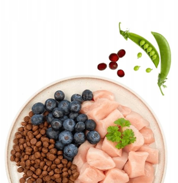 Sanabelle Adult Κοτόπουλο με κοτόπουλο 400g