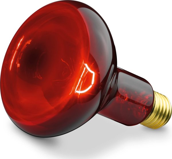 Sanitas Λάμπα λετσνίτσζια SIL 06 μπιάουι 100 W