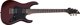Ηλεκτρική κιθάρα Schecter SGR Banshee-6, Walnut Satin
