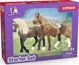 Σετ εκκίνησης Schleich Paso Peruano