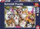 Schmidt Spiele Puzzle PQ 500 Γάτες βγάζουν selfie G3