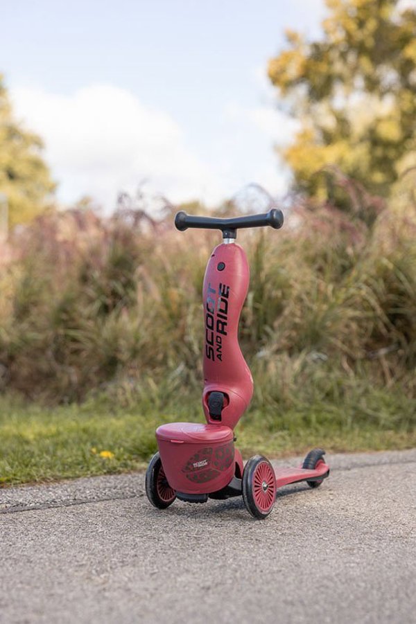 Scoot and Ride HK1 Lifestyle 2w1 περπατούρα και πατίνι για παιδιά 1-5 ετών, χρώμα: Wildcat