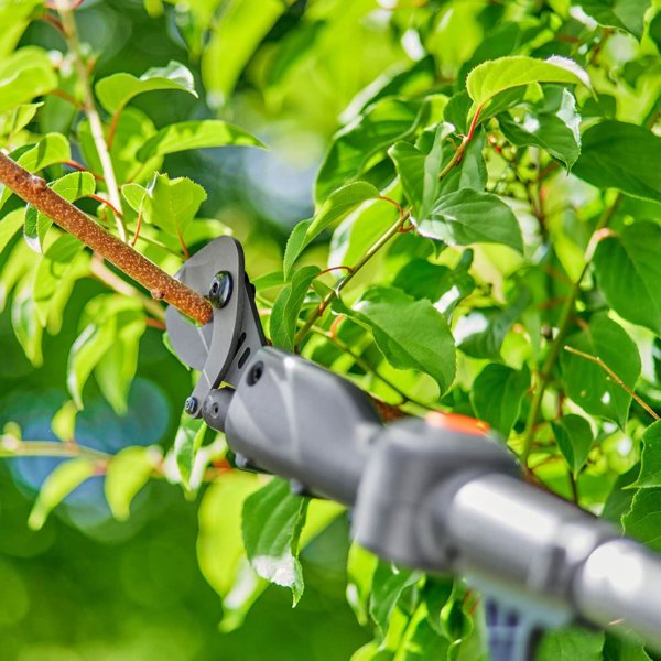 Ψαλίδι κλαδέματος Gardena GARDENA Ασύρματο Τηλεσκοπικό Ψαλίδι Κλαδέματος HighCut 250/18V P4A solo, 18V (σκούρο γκρι/τυρκουάζ, χωρίς μπαταρία και φορτιστή, POWER FOR ALL ALLIANCE)