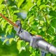 Ψαλίδι κλαδέματος Gardena GARDENA Ασύρματο Τηλεσκοπικό Ψαλίδι Κλαδέματος HighCut 250/18V P4A solo, 18V (σκούρο γκρι/τυρκουάζ, χωρίς μπαταρία και φορτιστή, POWER FOR ALL ALLIANCE)