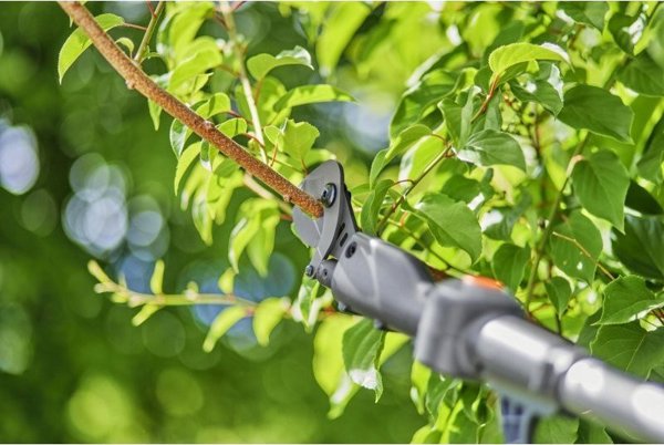 Ψαλίδι κλαδέματος Gardena GARDENA Ασύρματο Τηλεσκοπικό Ψαλίδι Κλαδέματος HighCut 250/18V P4A solo, 18V (σκούρο γκρι/τυρκουάζ, χωρίς μπαταρία και φορτιστή, POWER FOR ALL ALLIANCE)
