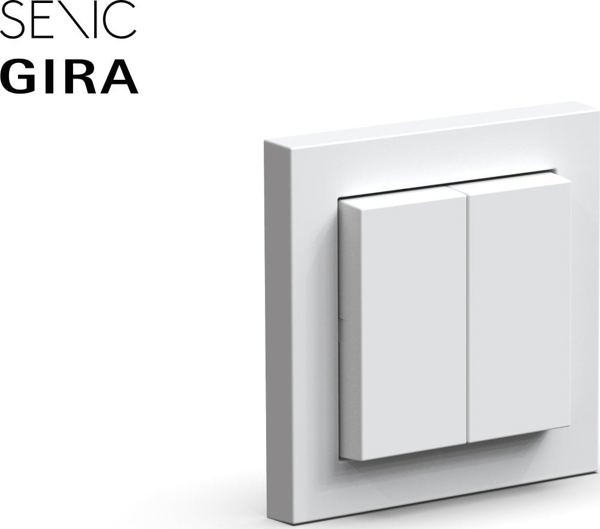 Senic Senic Friends of Hue Smart Switch, switch (white (glossy))