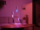 Signify Philips Hue White & Col. Amb. Lightguide Giant Edison ST72 E27