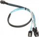SilverStone SFF 8643 - SATA x4, 0.5m, Μπλε (SST-CPS05)