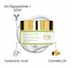 Skin Research, Advanced Epidermal Growth Factor, Moisturiser, Cream, For Face, 50 ml For Women