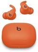 Apple Powerbeats Pro - Ασύρματα Ακουστικά Noise Cancelling για Προπόνηση, Spark Orange
