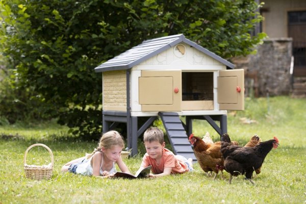 Smoby Hen House
