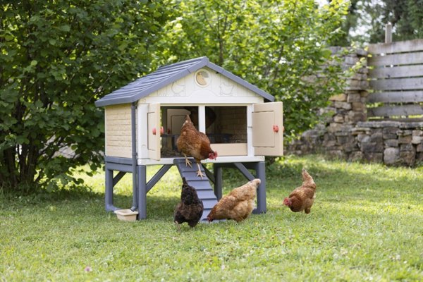 Smoby Hen House