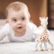 Καμηλοπάρδαλη Sophie σε κουτί SoPure Sophie La Giraffe