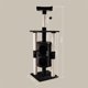 Sourcing CAT SCRATCHER HOPPY 45X45X142CM