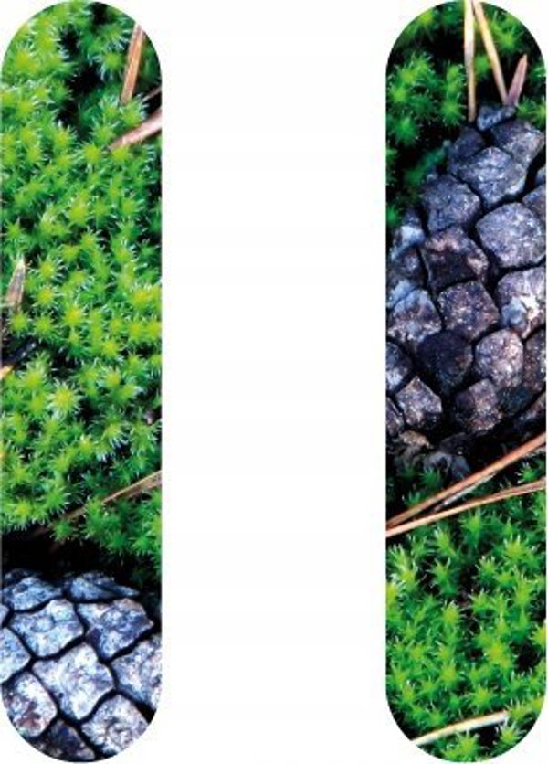 Προμήθεια SAUNA CUSHION KENNO RENTO
