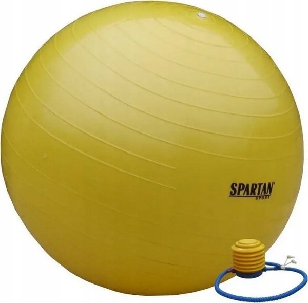 Spartan Μπάλα γυμναστικής SPARTAN 45 cm
