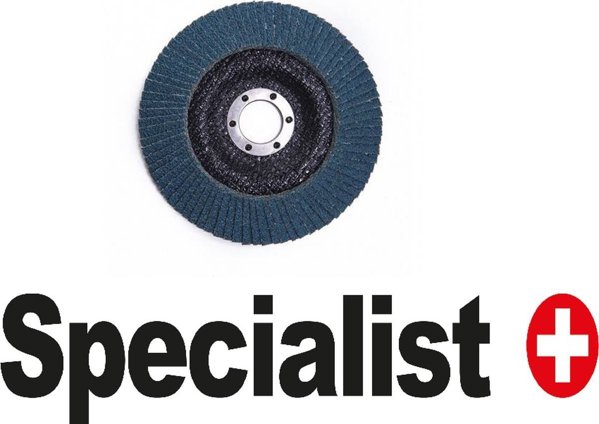 SPECIALIST+ φυλλάδιο. δίσκος λείανσης ZK80, 125 mm