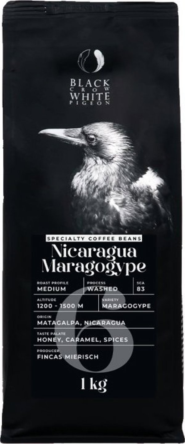 Εξειδικευμένοι κόκκοι καφέ Black Crow White Pigeon Nicaragua Maragogype, 1 kg