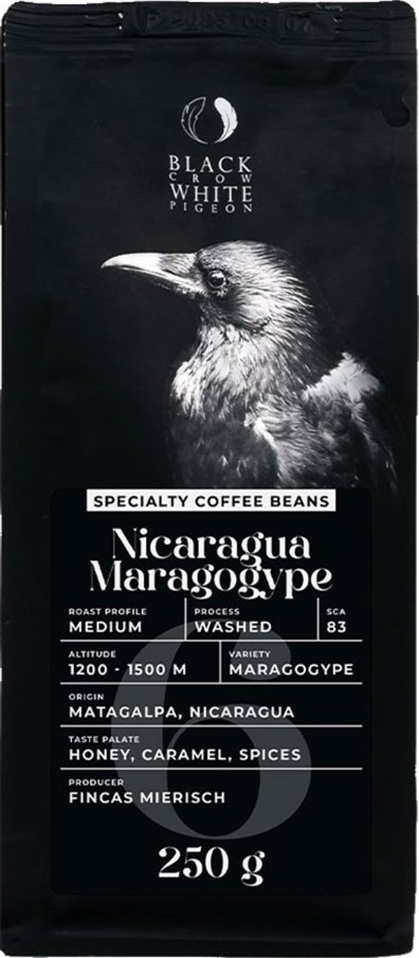Εξειδικευμένοι κόκκοι καφέ Black Crow White Pigeon Νικαράγουα Maragogype, 250 g
