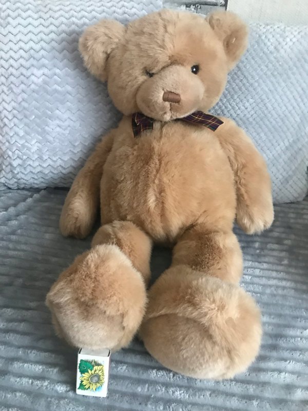 Spin Master GUND Λούτρινο παιχνίδι My 1st Teddy, καφέ, 38 εκ.