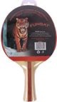 Ρακέτα πινγκ πονγκ Spokey Funbat (81815)