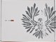 Sram Κασετα Sram GX XG-1275 Eagle, για κασέτα XD, 12-ταχ. 10-52T