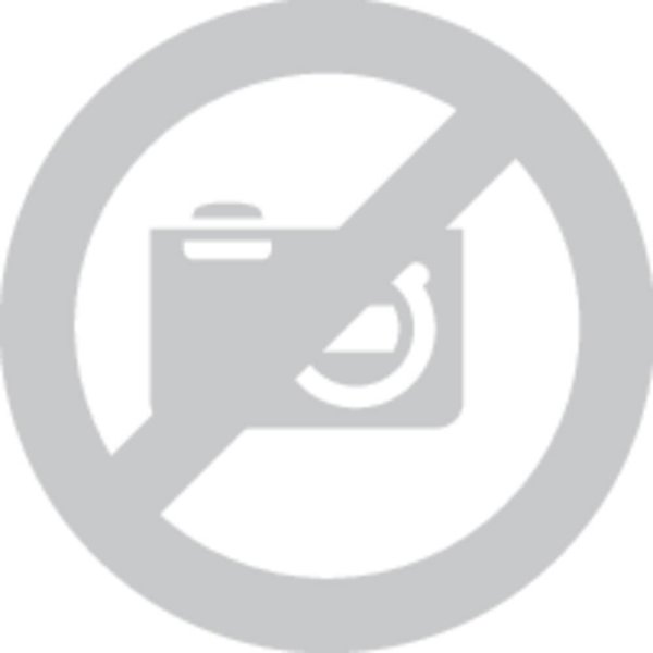 Stabila Παγίδα με βάση REC 300 DIGITAL STABILA